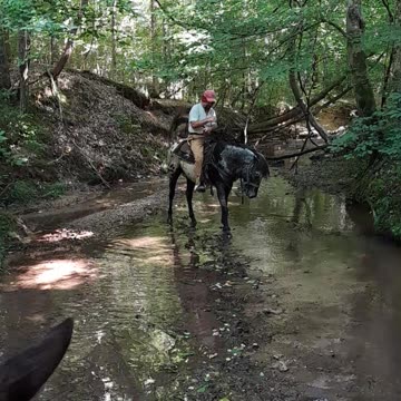 2 STUDS in a creek.