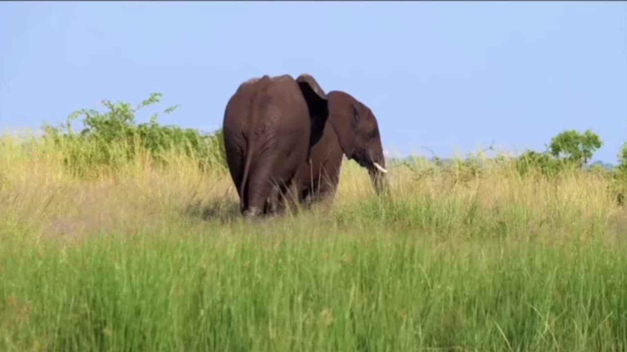 Beautiful Amazon nature.