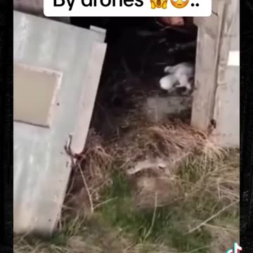 Scary Things Caught by Drones