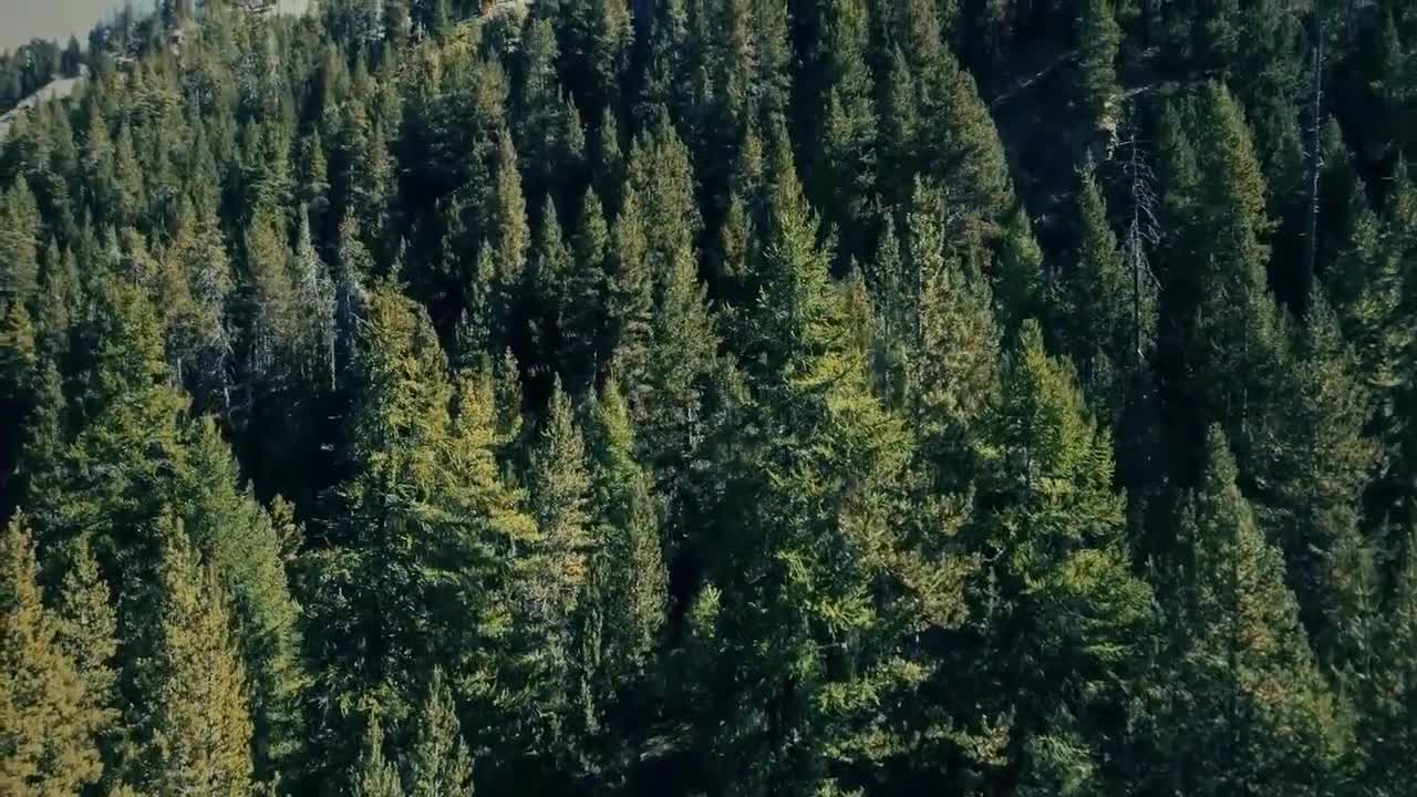 Relaxing Music | Sleeping, Meditation, Stress Relief | [1027] ⭐️
