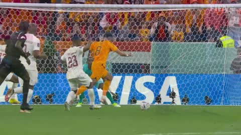 Gakpo strikes again Netherlands v Qatar FIFA World Cup Qatar 2022