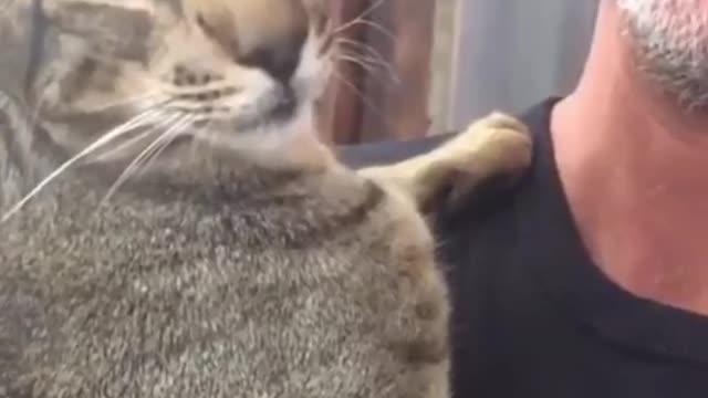 After nearly losing his life, cat now won't stop talking