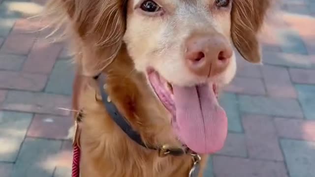 I don’t know what’s worse…