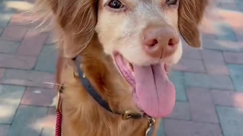 I don’t know what’s worse…