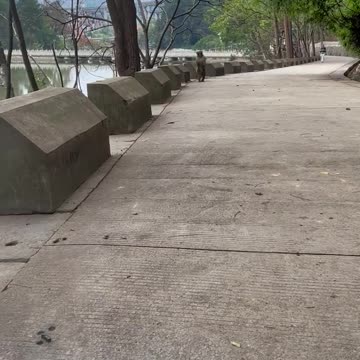 Wild animals are close to each other. Fantastic animals are on Douyin. Everything has spir