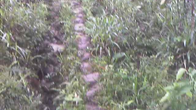 Handmade Rock Trail to 7 Petroglyphs Pena Blanca Ecuador