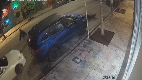 Florida Rapper Fatally Shoots Her Manager