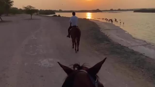 Horse riding