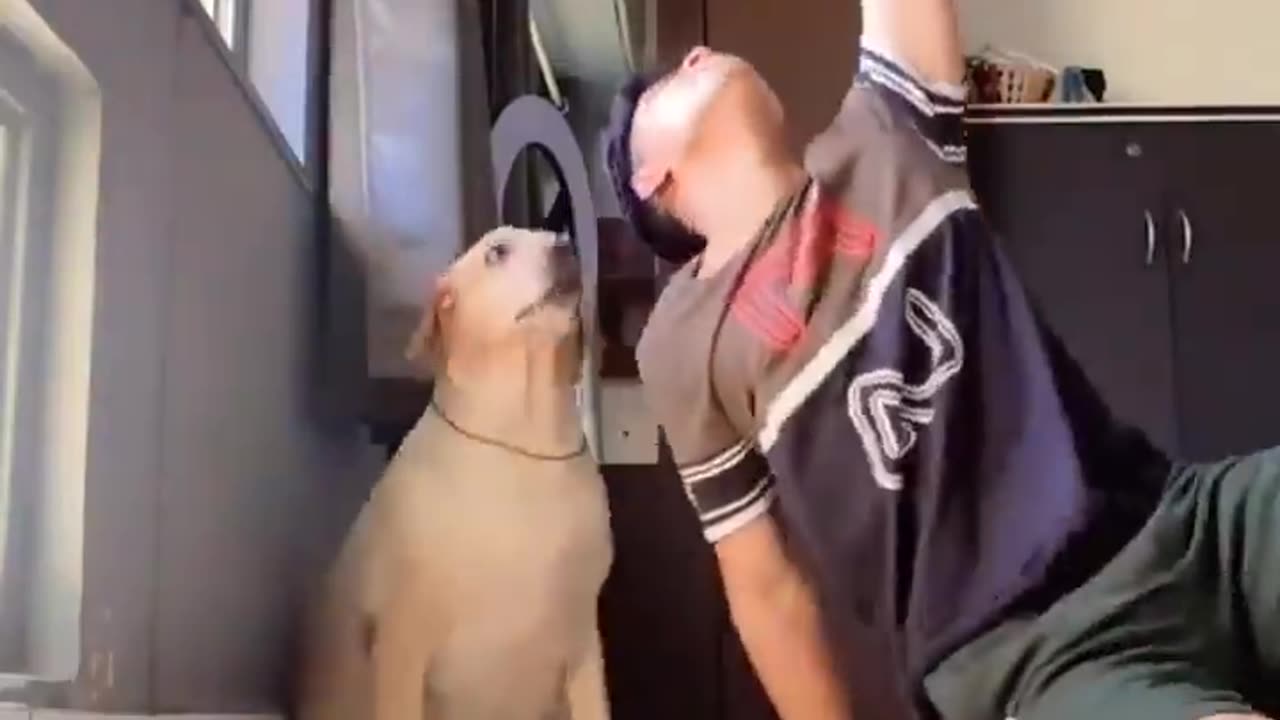 Funny clip with dog and boy sing a song