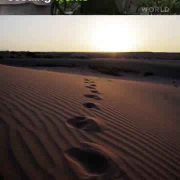 World Economic Forum brags about Chemtrails