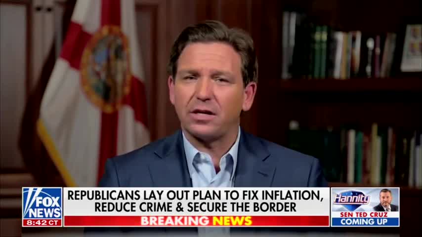 DeSantis: Lee Zeldin Will Look After the Taxpayers of New York for a Change