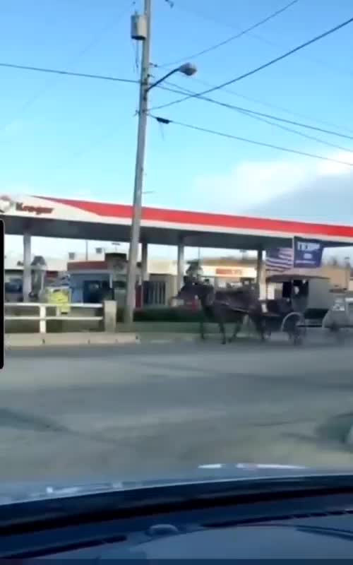 Ultra MAGA Amish!
