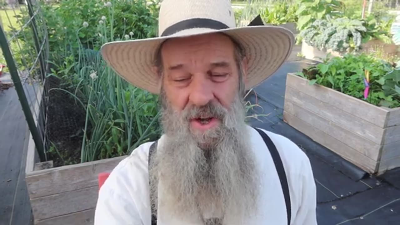 Gene Edited Pigs Coming to a Grocery Store Near You