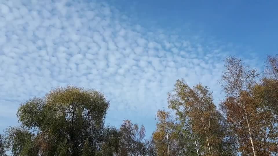 Himmel in Berlin am 31.10.2022 um 14 Uhr