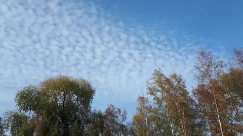 Himmel in Berlin am 31.10.2022 um 14 Uhr