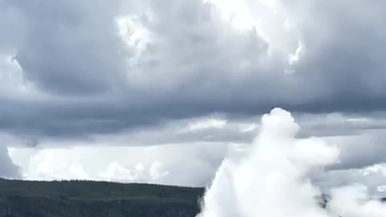 An unbothered bison grazes as Old Faithful erupts at Yellowstone National Park. 🦬