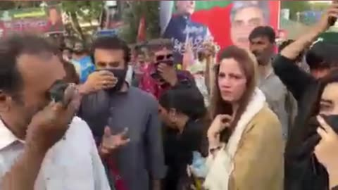 Zartaj gul pti in zama park lahor