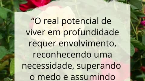 O verdadeiro potencial