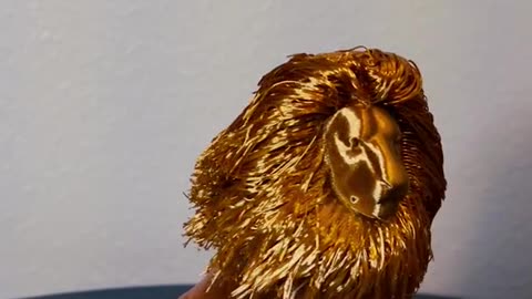 Amazing 3D printed lion