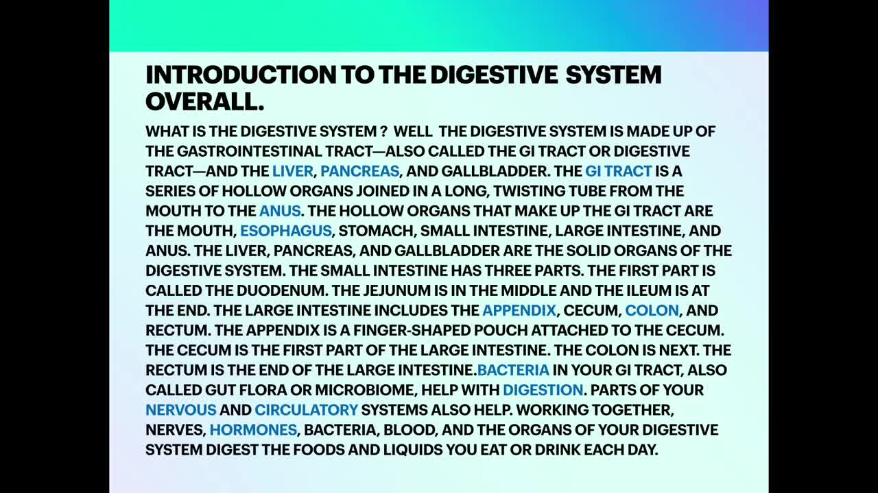 The digestive system (Anatomy review )