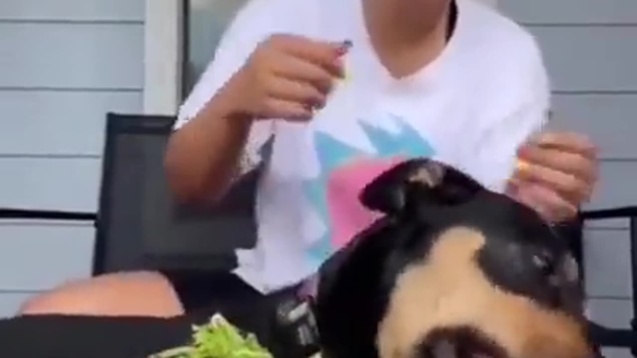 Woman Explains How Her Dog Is A ‘Vegetarian By Choice’