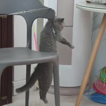 Challenge very very funny video 2023