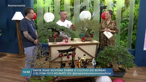 BONSAI PARA INICIANTES - TV APARECIDA - PROGRAMA SANTA RECEITA