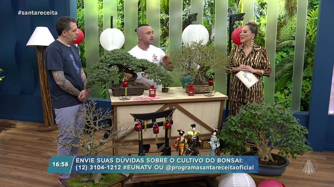 BONSAI PARA INICIANTES - TV APARECIDA - PROGRAMA SANTA RECEITA