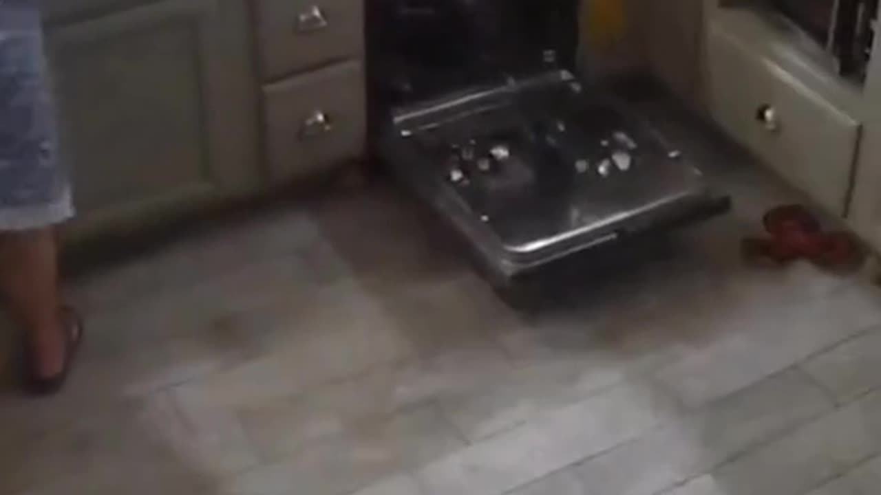 Funny movement