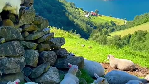 beauty of nature 85