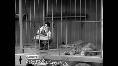 Charlie Chaplin the lion cage