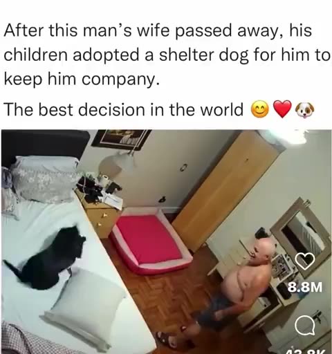 Illegal Immigrants and Shelter Dogs