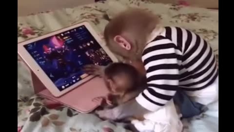 funniest monkey