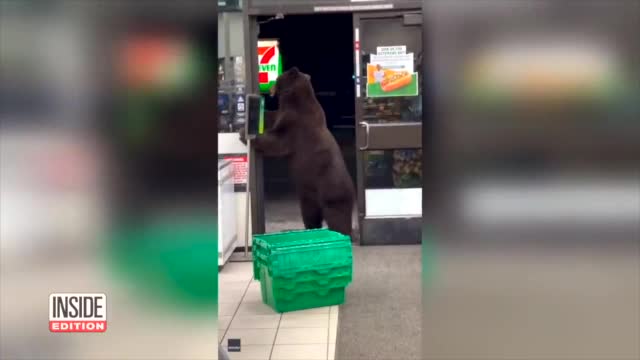 Your Kind Ain't Welcome Here