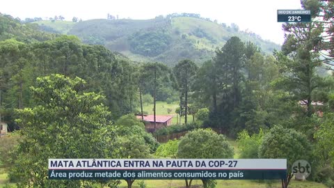 Mata Atlântica entra em pauta na COP27 | SBT Brasil