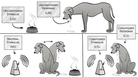 Pavlov’s Classical Conditioning