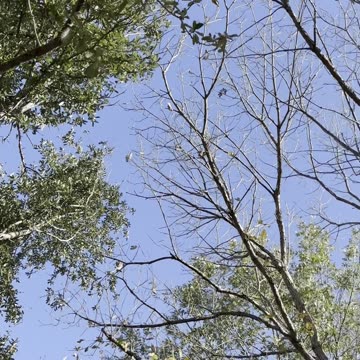 Mindfullness Bingo Day 9