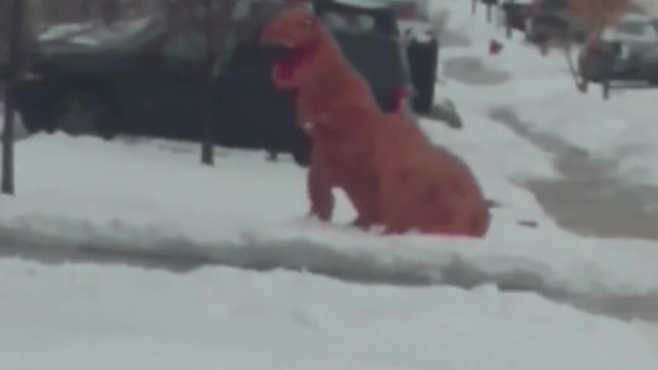 This looks like great fun (Viralhog)-#trex #snow #snowballfight #snowball #pubity