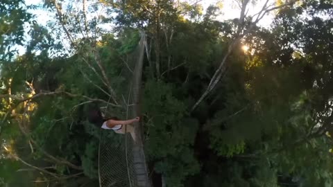 Exploring Amazon Rainforest🦖🦕🦜