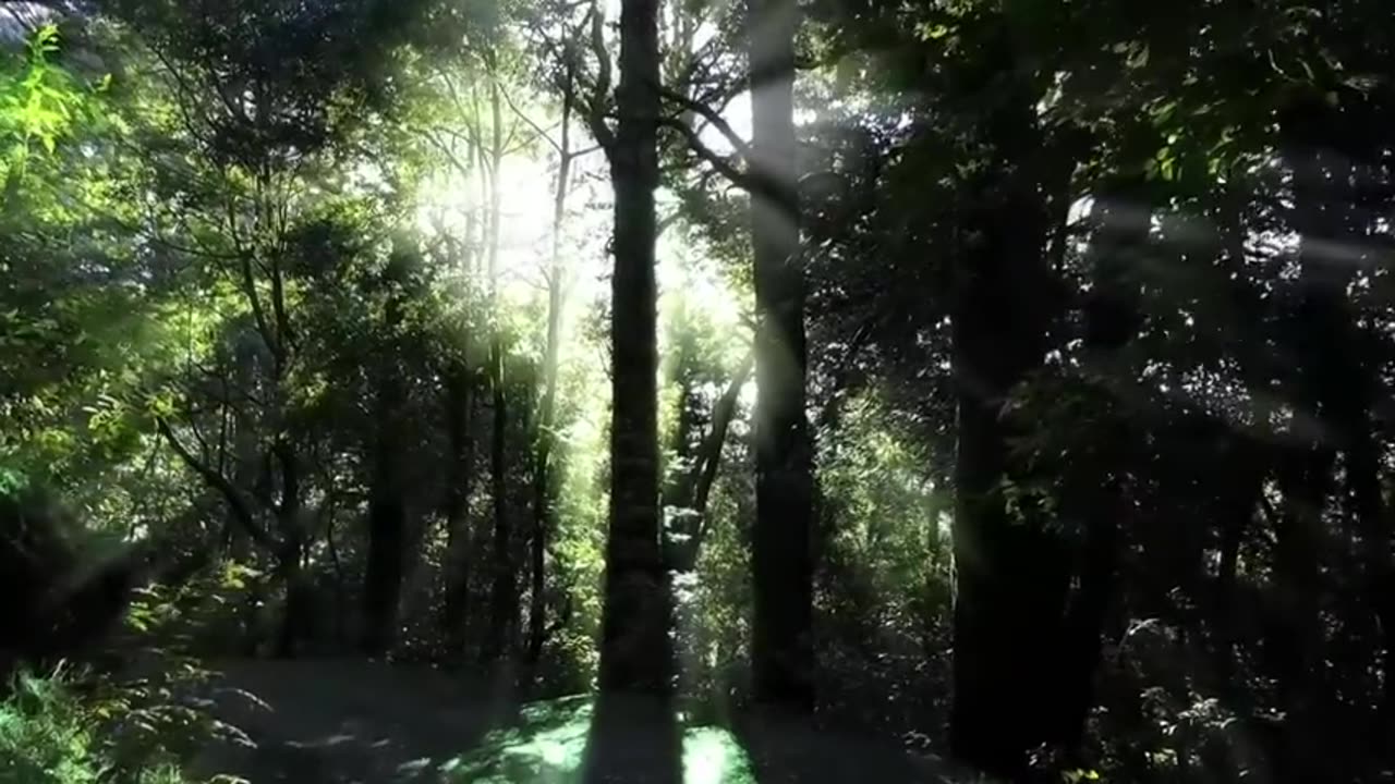Nature