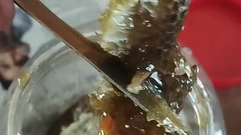 Honey time