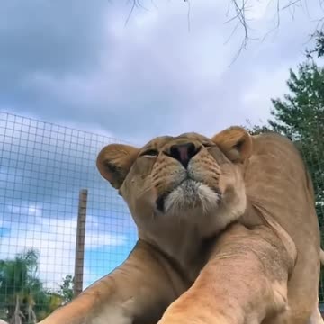 don't disturb your nap