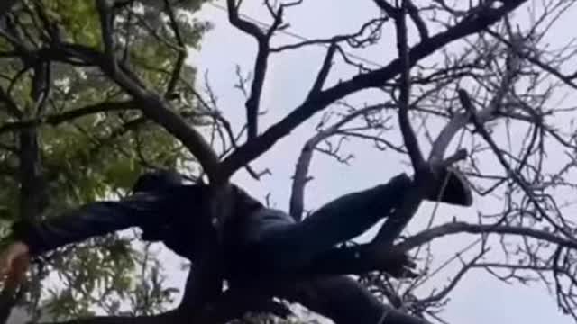 a funny video that will make you laugh