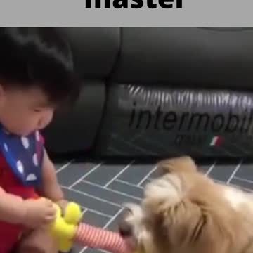 a dog loving its little master