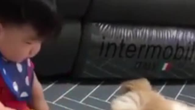 a dog loving its little master