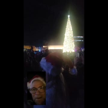 South Coast Plaza Most Beautiful Tree!