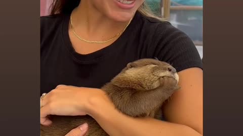 Meet our Amazing Animal ❤️🥰😘