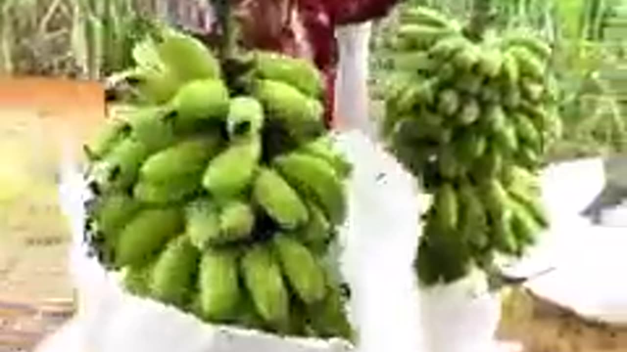 Part 2 like and shere me dosto follow me