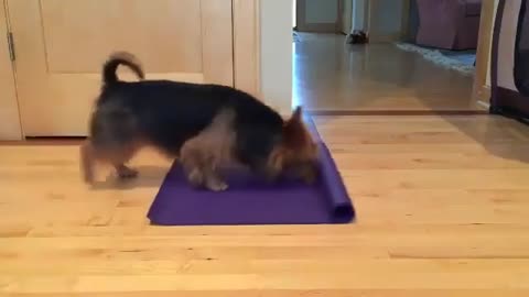 Yoga time!