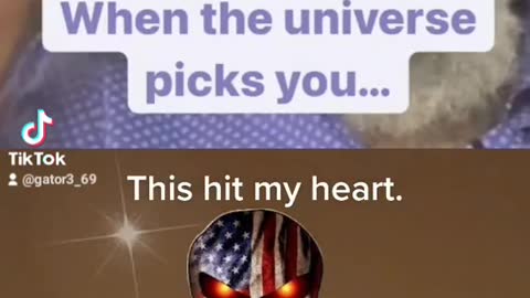 What is dangerous? When the Universe picks you.